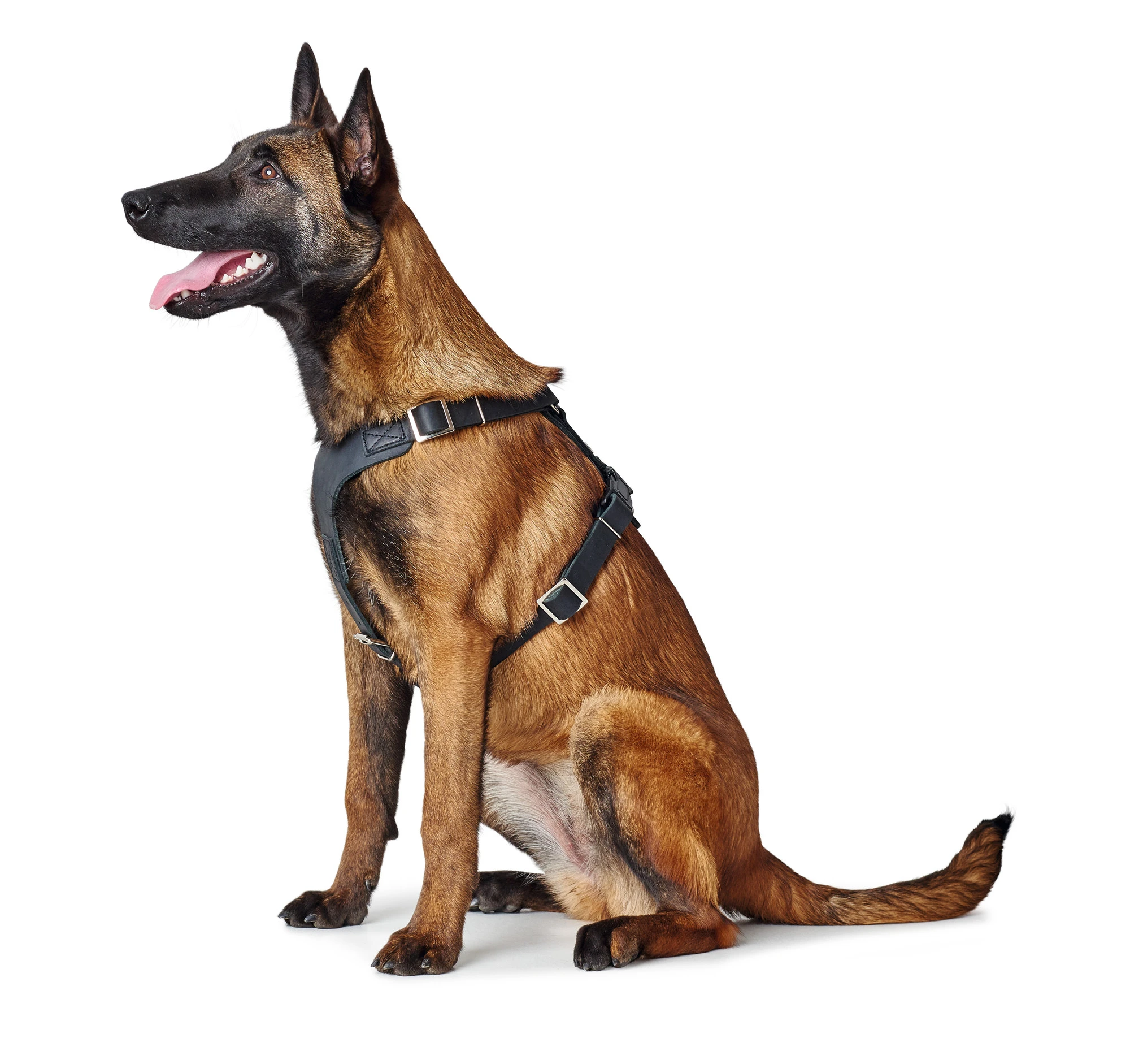 Hunter Hundesele Aalborg Sort M-L/2 - 62-90 cm bryst/hals