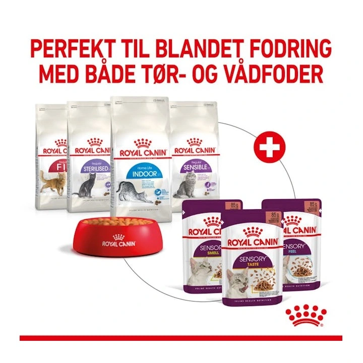 Royal Canin Kattevådmad Sensory Smell Sovs Adult