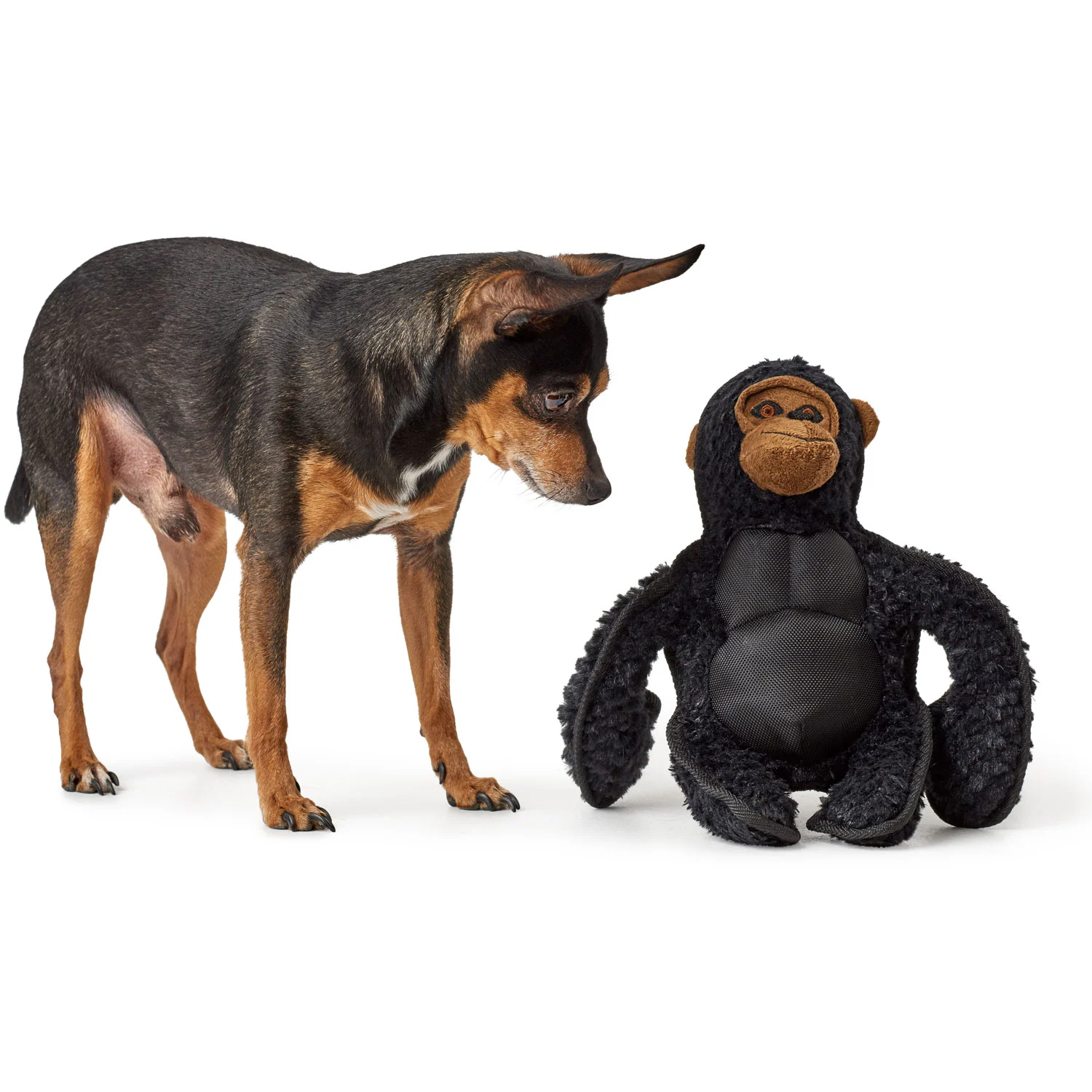 Hunter Hundelegetøj Kamerun Gorilla - bamse til mellemstore og store hunde