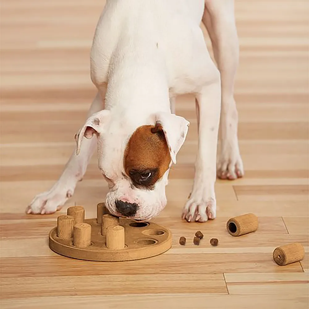 Dog smart Aktiveringslegetøj Niveau 1