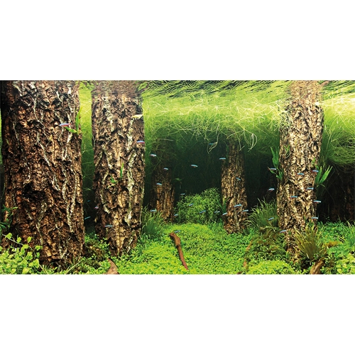 Baggrund til akvarium Scapers Hill og forest (30 cm høj) 60 cm