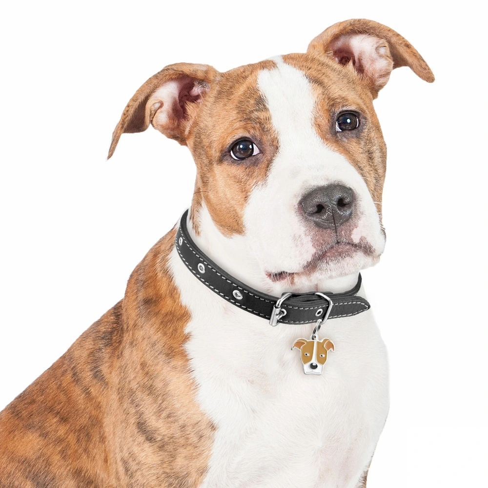 My Family Hundetegn Friends Amerikansk Pitbullterrier Rød
