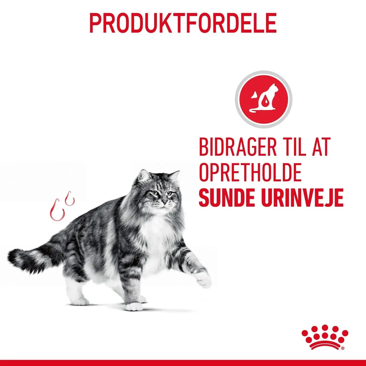 Royal Canin Urinary Care 2 kg