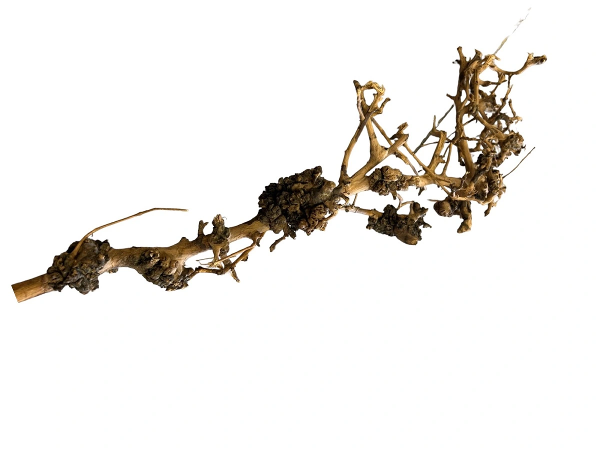 Aquascaping Root 25-35 cm