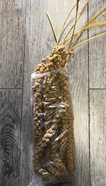Franske Gule Hirsekolber 10 stk