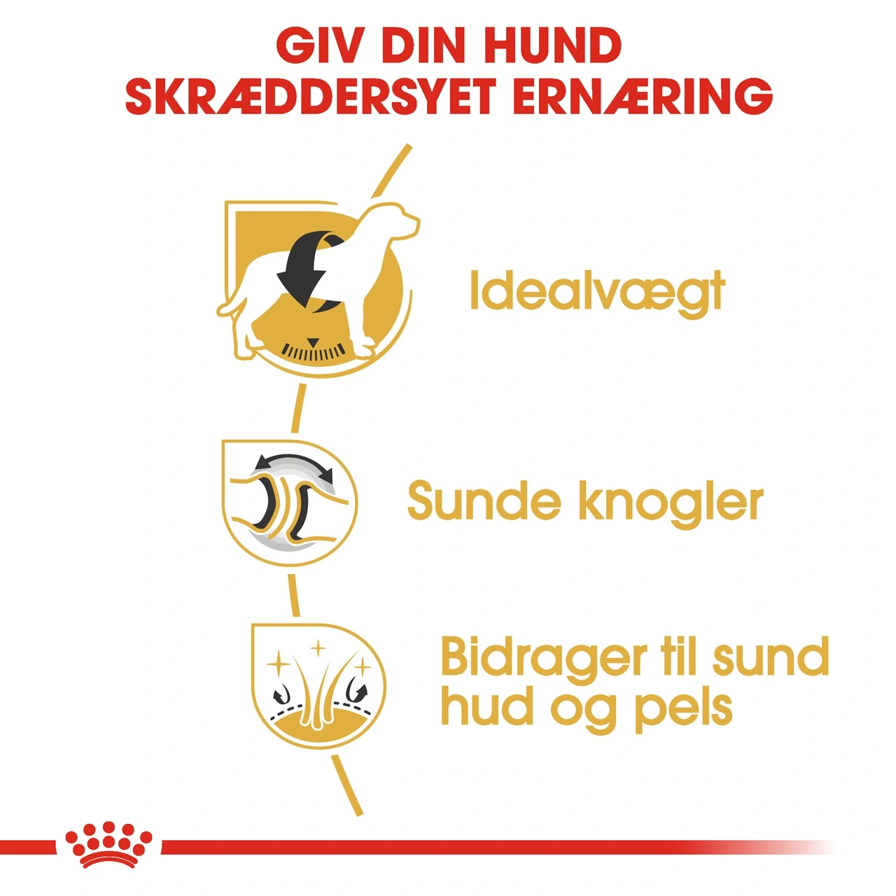 Royal Canin Labrador Retriever Adult 12 kg - tørfoder til voksne hunde