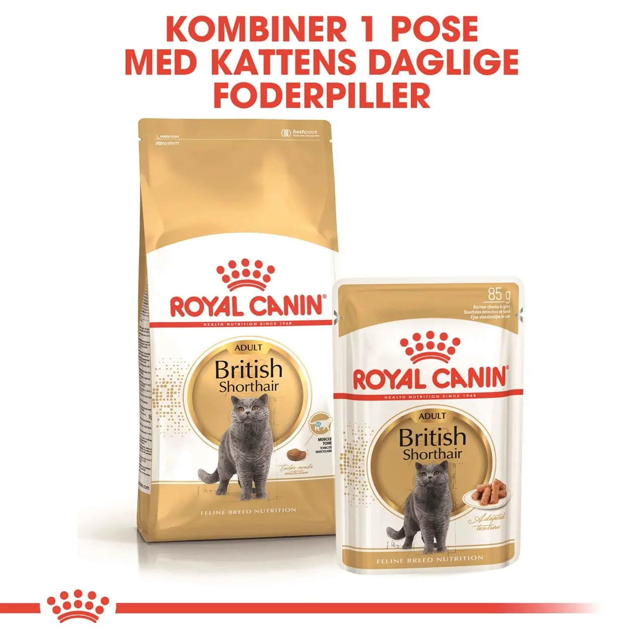 Royal Canin British shorthair 400 gram