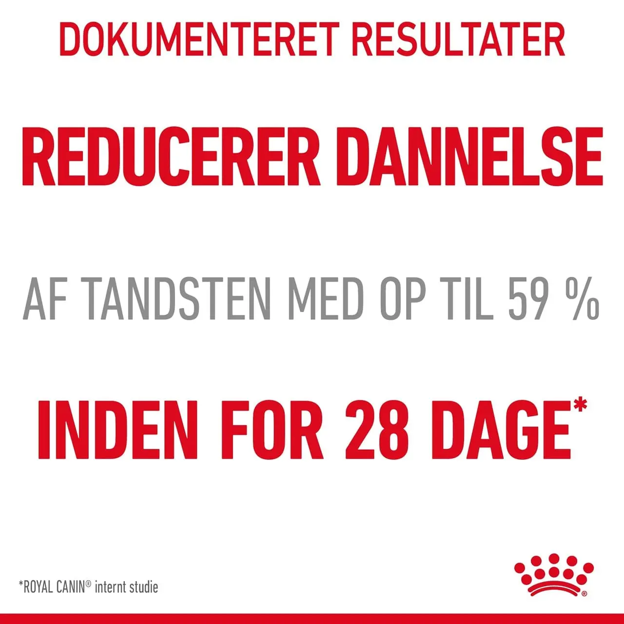 Royal Canin Dental Care 3,5 kg