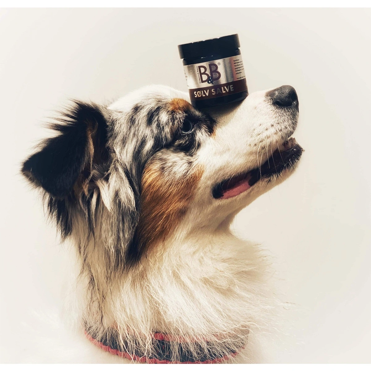 B&B Sølvsalve 60 ml