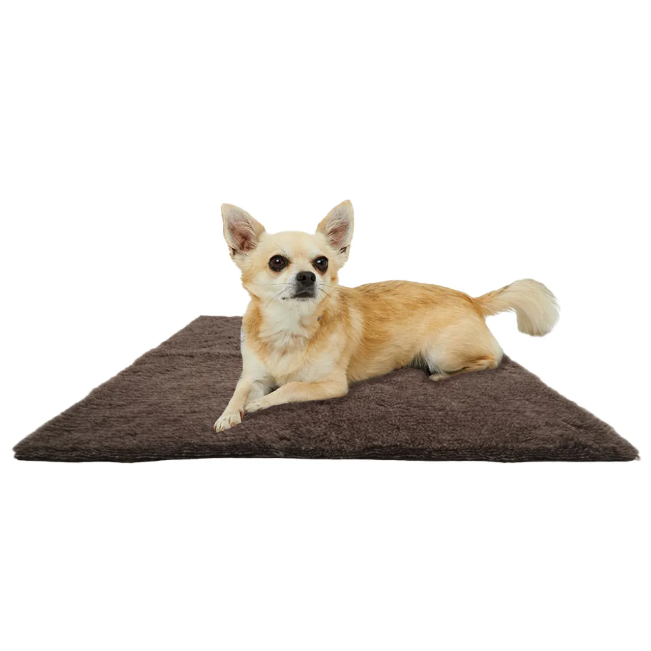 Active Canis Vetbed brun 75 x 100 cm Medium