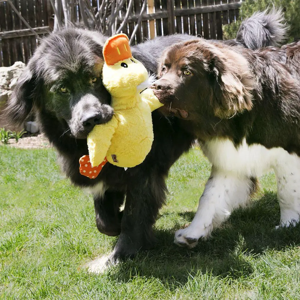 Kong Hundelegetøj Comfort Jumbo Mix XL - stor bamse til store hunde