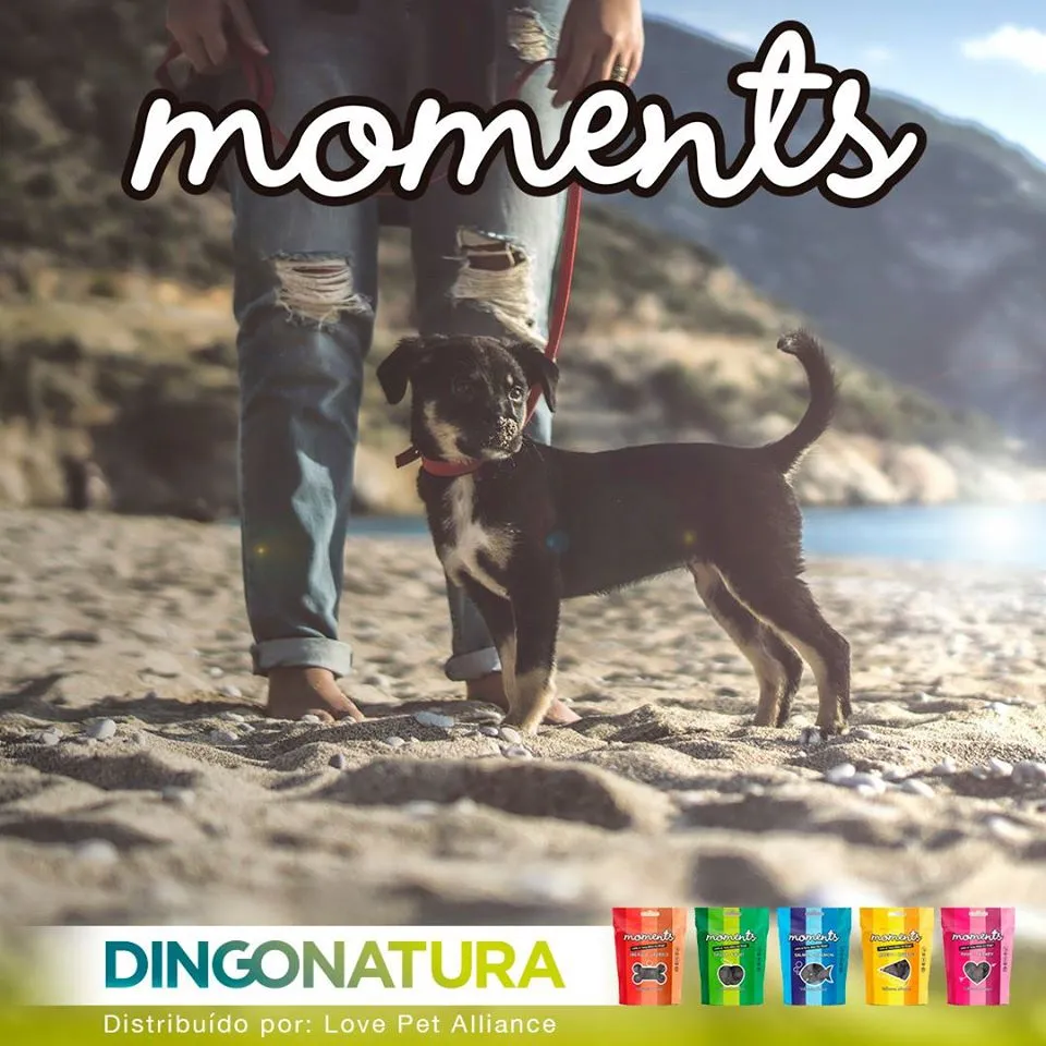 Moments hundesnack Kylling og Frugt 60 g - fuldfoder hundegodbidder