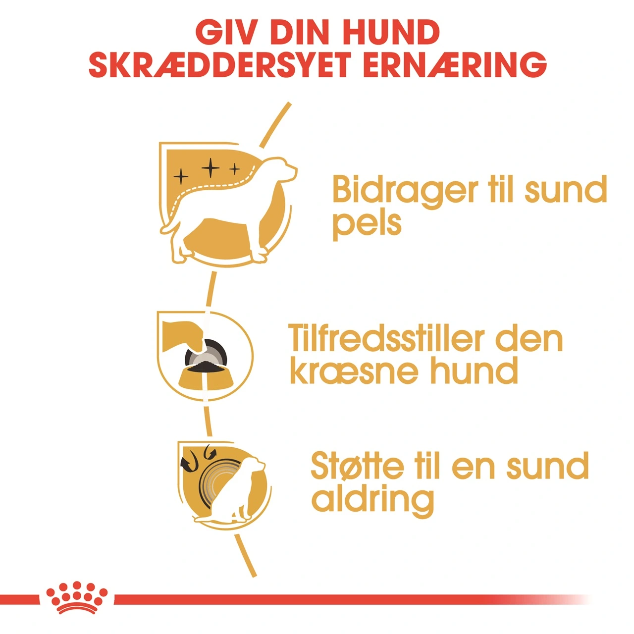 Royal Canin Yorkshire Terrier Adult 1,5 kg - tørfoder til små hunde