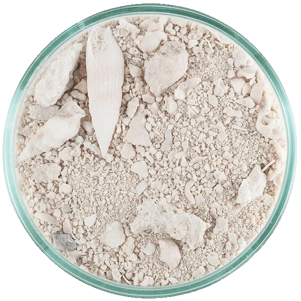 CaribSea Ocean Direct Original Grade 2,25 kg