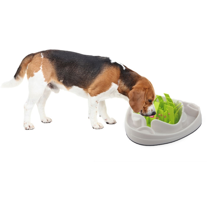 AFP Dog Slow Feeder gaven til hunden
