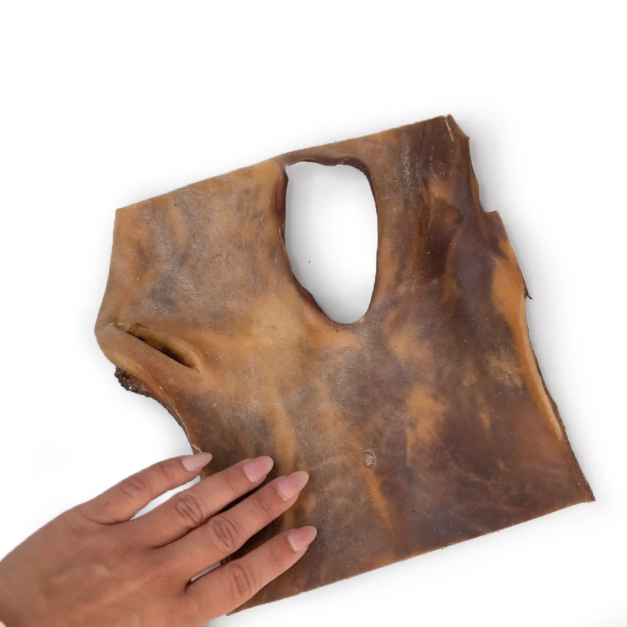 Snackit Kamelhudsplade ca. 20x20 cm - Naturlig tyggeglæde til hunde