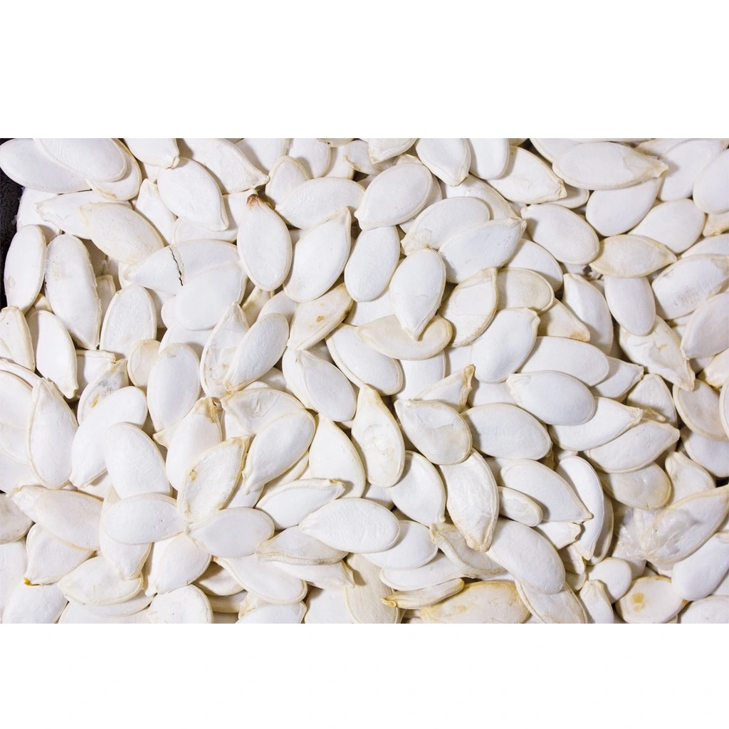 JR Farm Græskarkerner 125 g