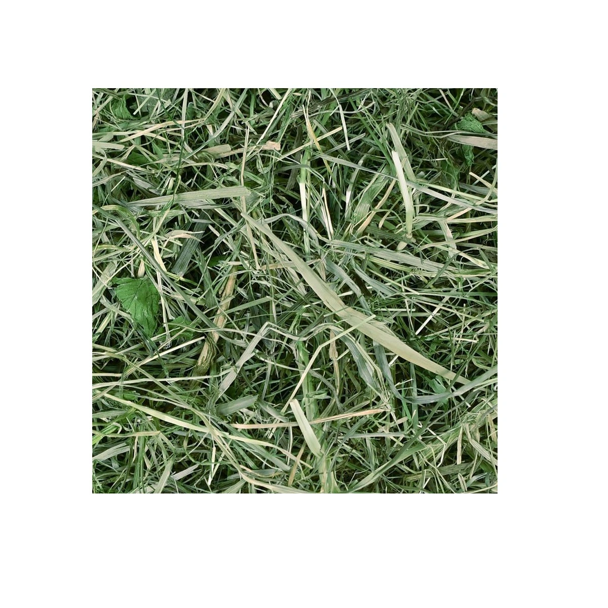 Chipsi Sunshine Timothy Hø 800 g