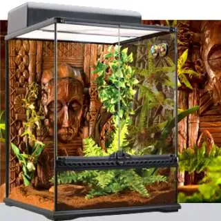 Exo Terra Boston Fern (medium)
