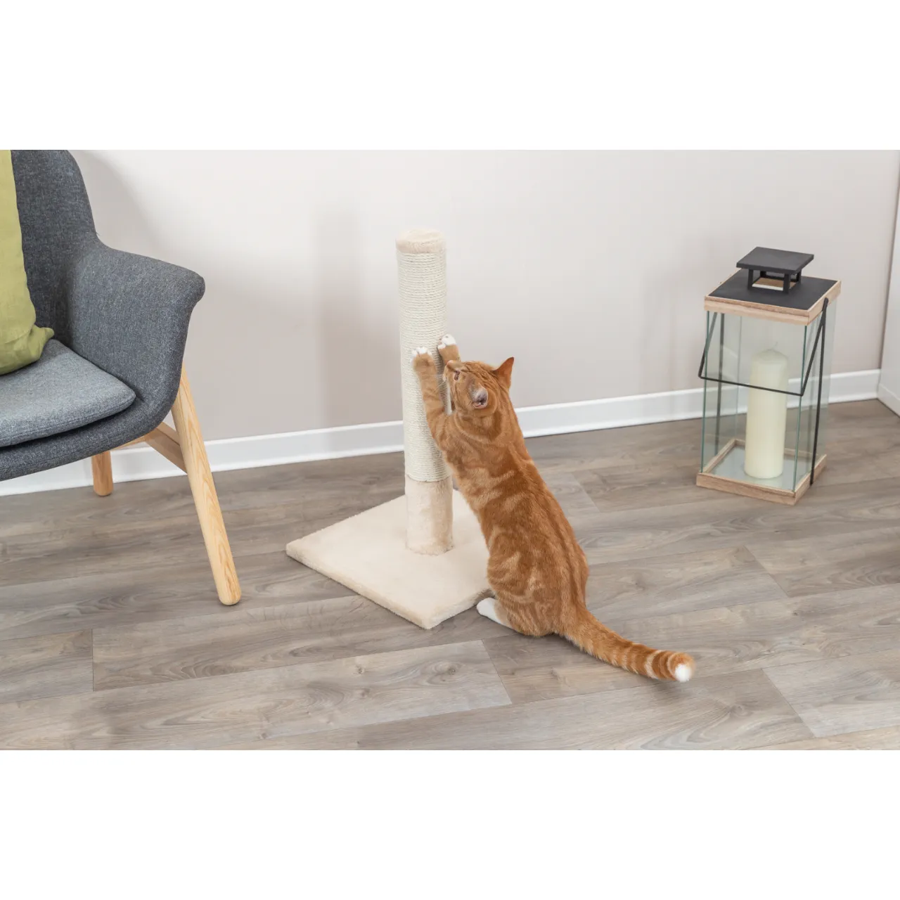 Trixie kradsetræer Batres Beige 62 cm