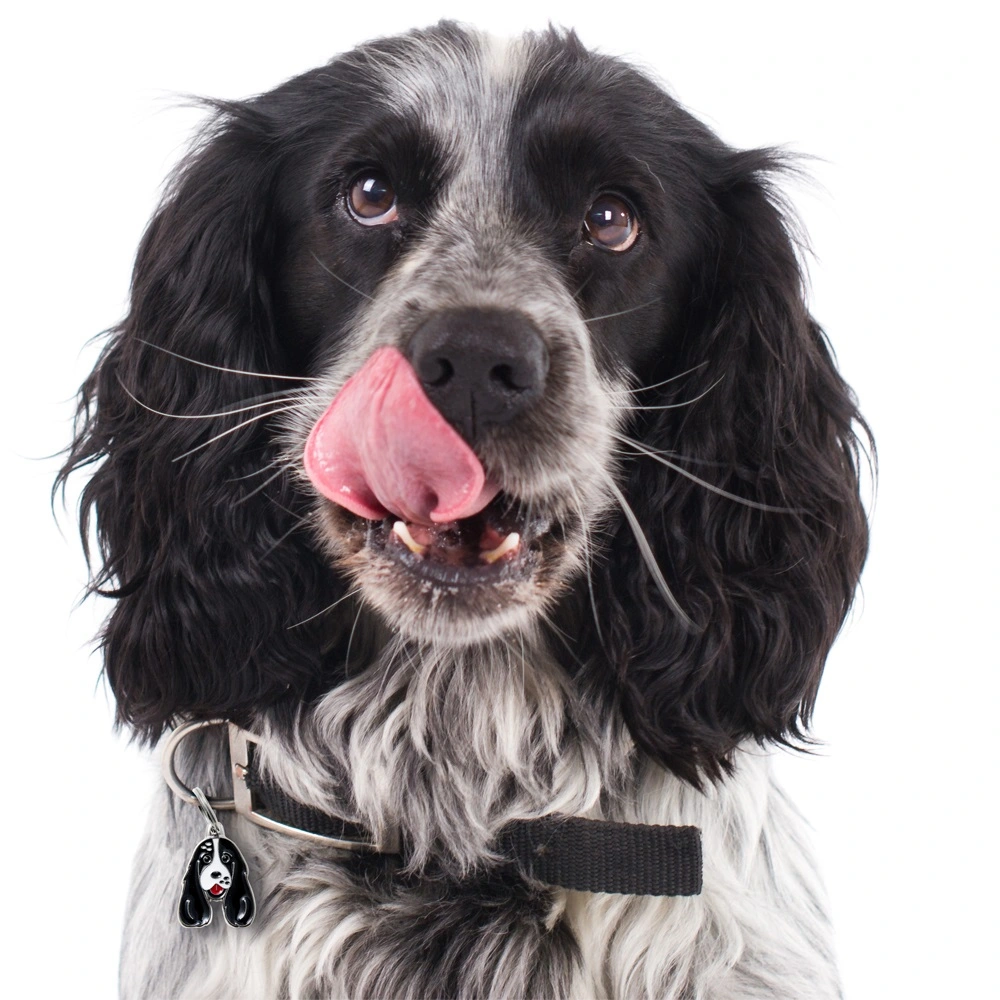 My Family Hundetegn Friends Cockerspaniel Sorthvid