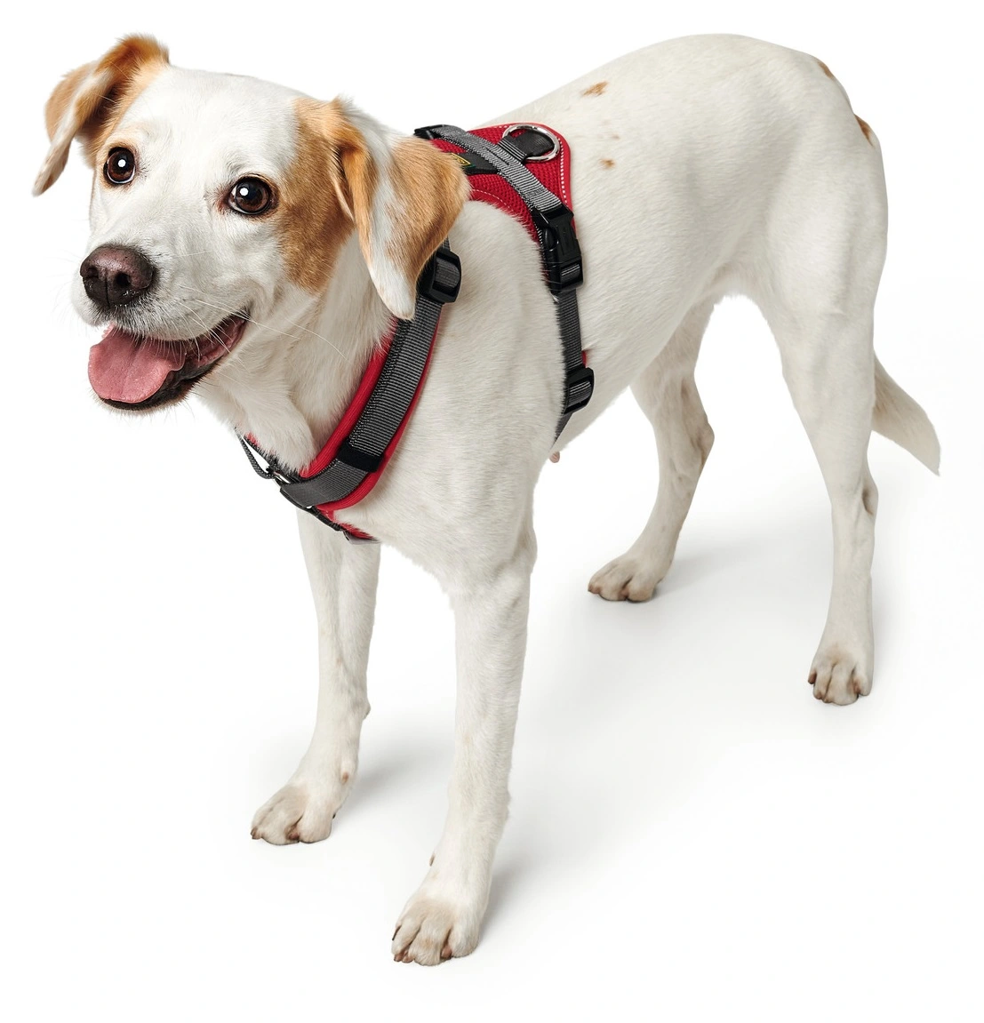 Hunter hundesele Maldon Rød og Grå S-M længde 46-82 cm 2,0 cm - fleksibel og stabil pasform