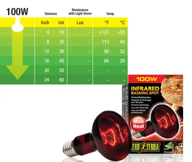 Exo Terra Heat Glo Infrarød spot 100 w