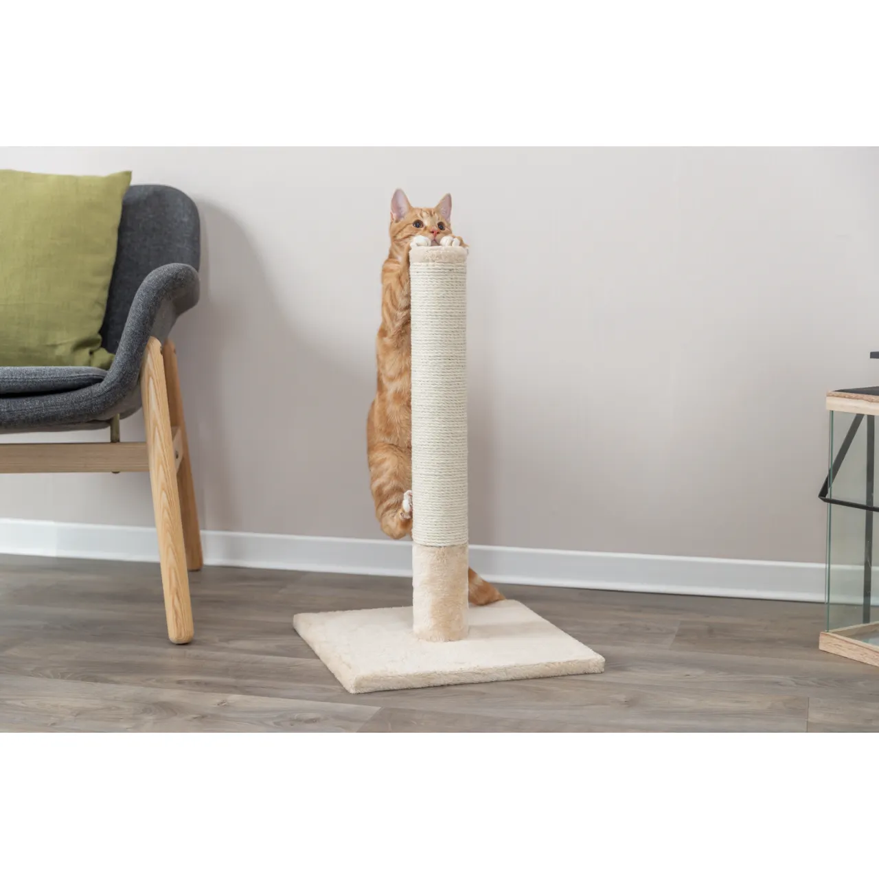 Trixie kradsetræer Batres Beige 62 cm