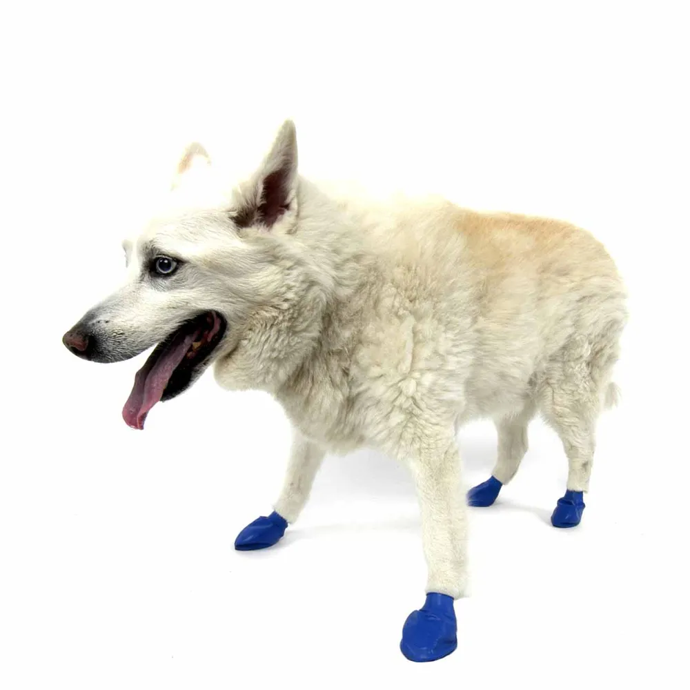 Pawz hundesko Medium 7,6 cm blå