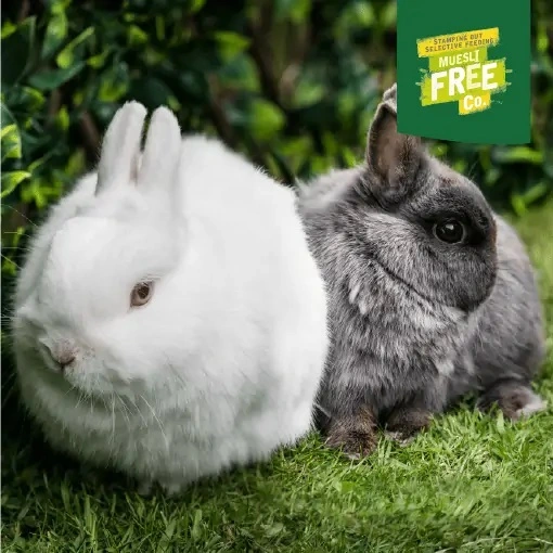 Burgess Excel Rabbit Junior & Dwarf 3 kg - Sund vækst og trivsel