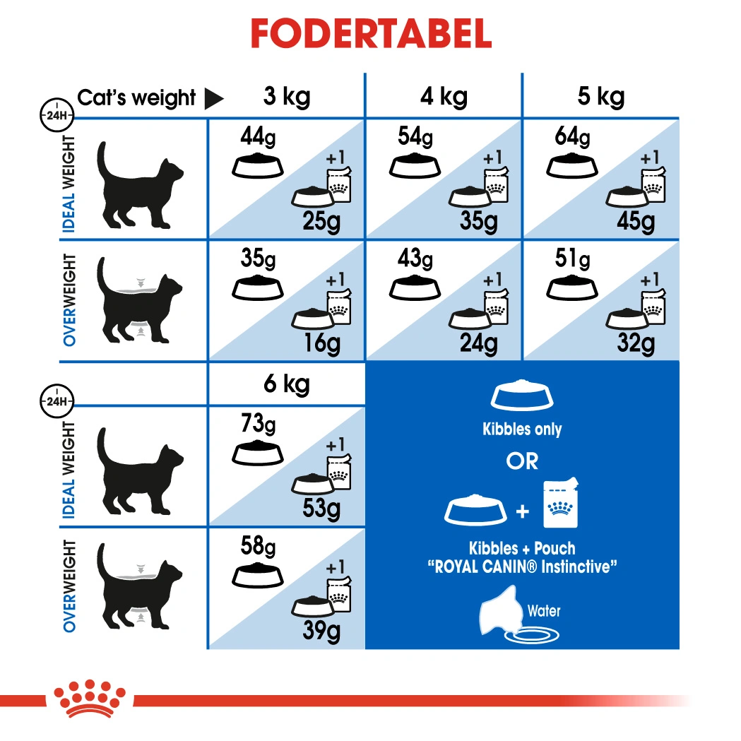 Royal Canin Home Life Indoor Long Hair 10 kg