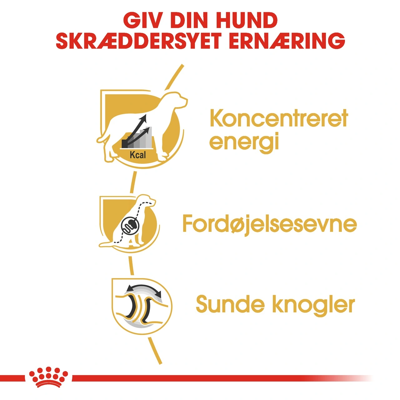 Royal Canin Great Dane Adult 12 kg - tørfoder til voksne hunde