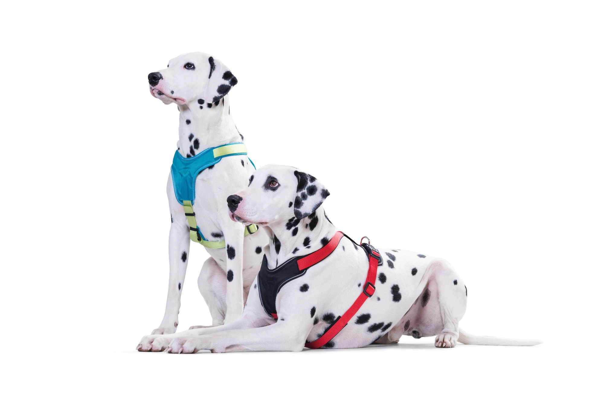 Hunter hundesele Neopren Rød XL længde 73-94 cm 2,5 cm - blød og stabil komfort