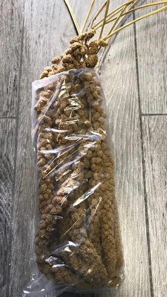Franske Gule Hirsekolber 10 stk