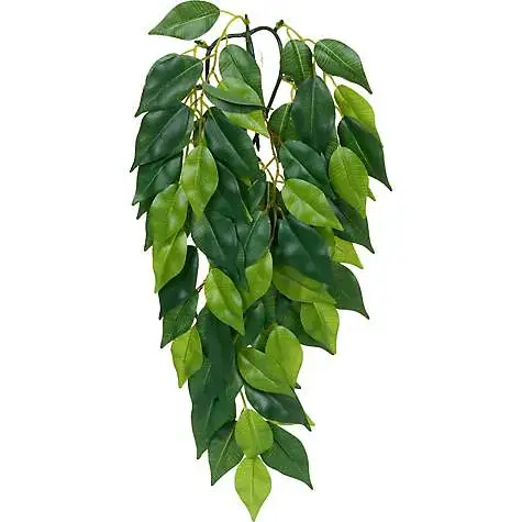 Exo Terra Ficus (lille)