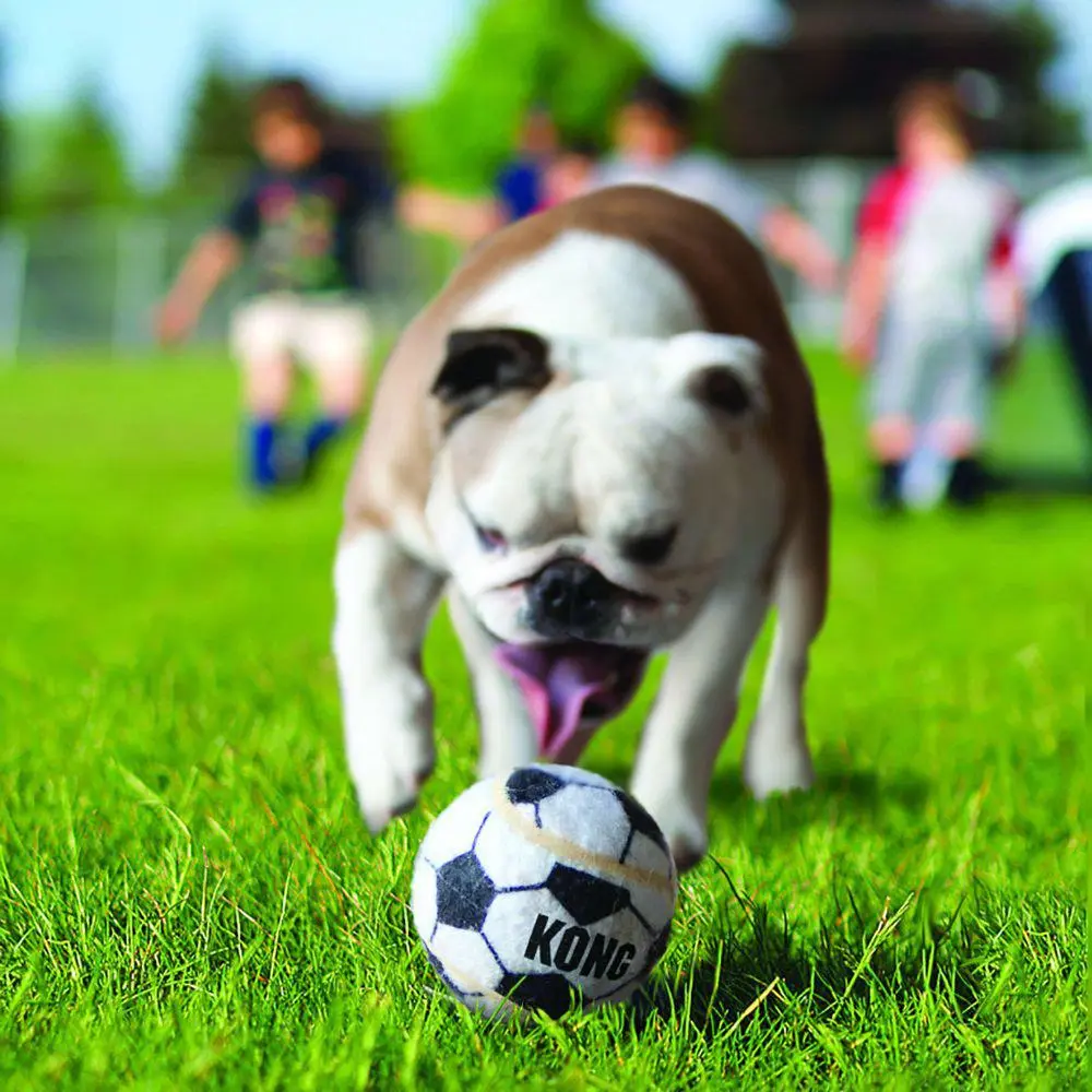 KONG Sport Balls S 3 stk 5 cm - slidstærke små hundebolde