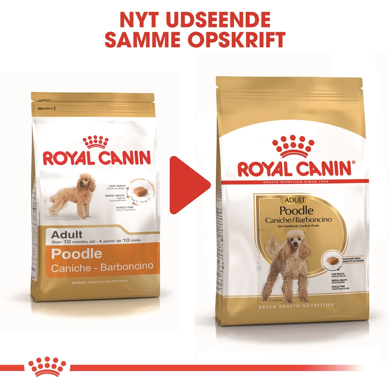 Royal Canin Poodle Adult 7,5 kg - tørfoder til voksne pudler