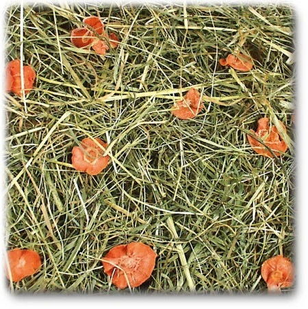 JR Gulerodseng 500 g