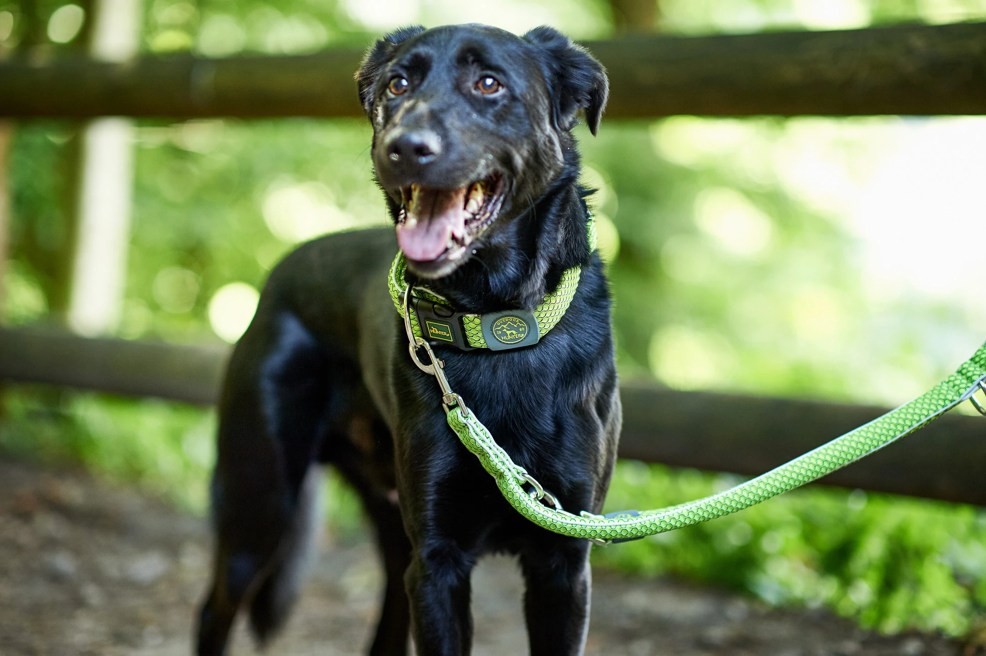 Hunter Hundesnor Hilo Lime 25/200