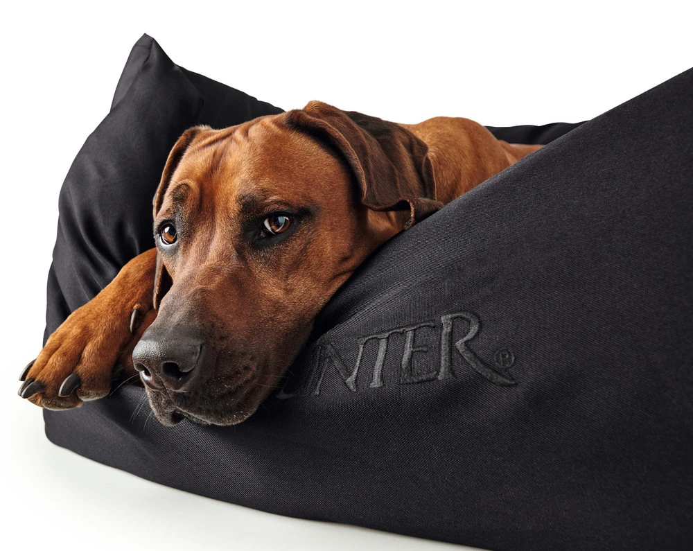 Hunter hundeseng Gent antibakteriel Medium 80x60 cm Sort