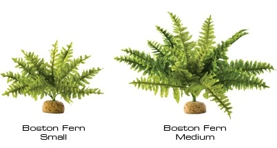 Exo Terra Boston Fern (medium)