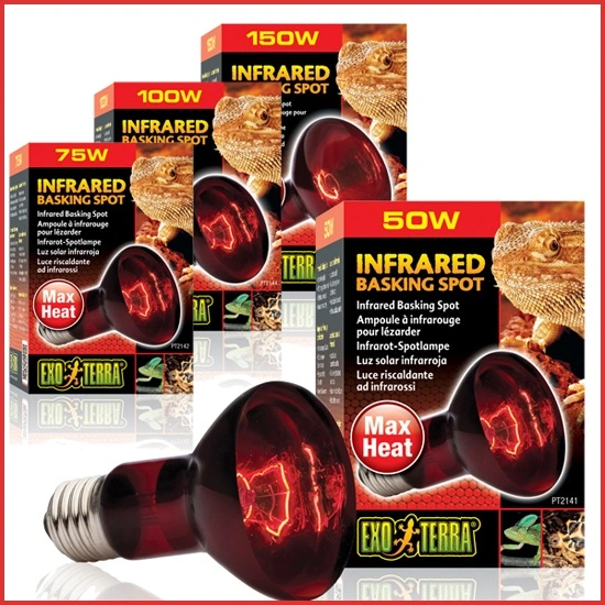 Exo Terra Heat Glo Infrarød spot 100 w