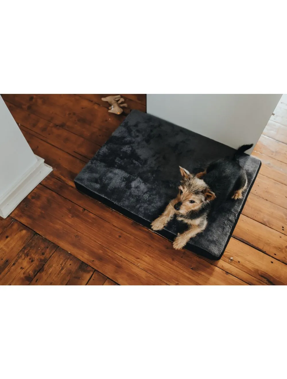 Hunter ortopædisk hundemadras Tirano XL 120x70x8 cm i sort og grå