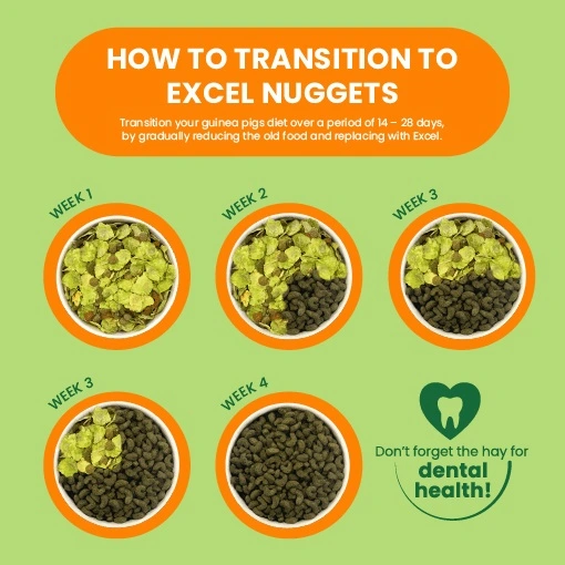 Burgess Excel Marsvinefoder 1,5 kg - Mint og C Vitamin