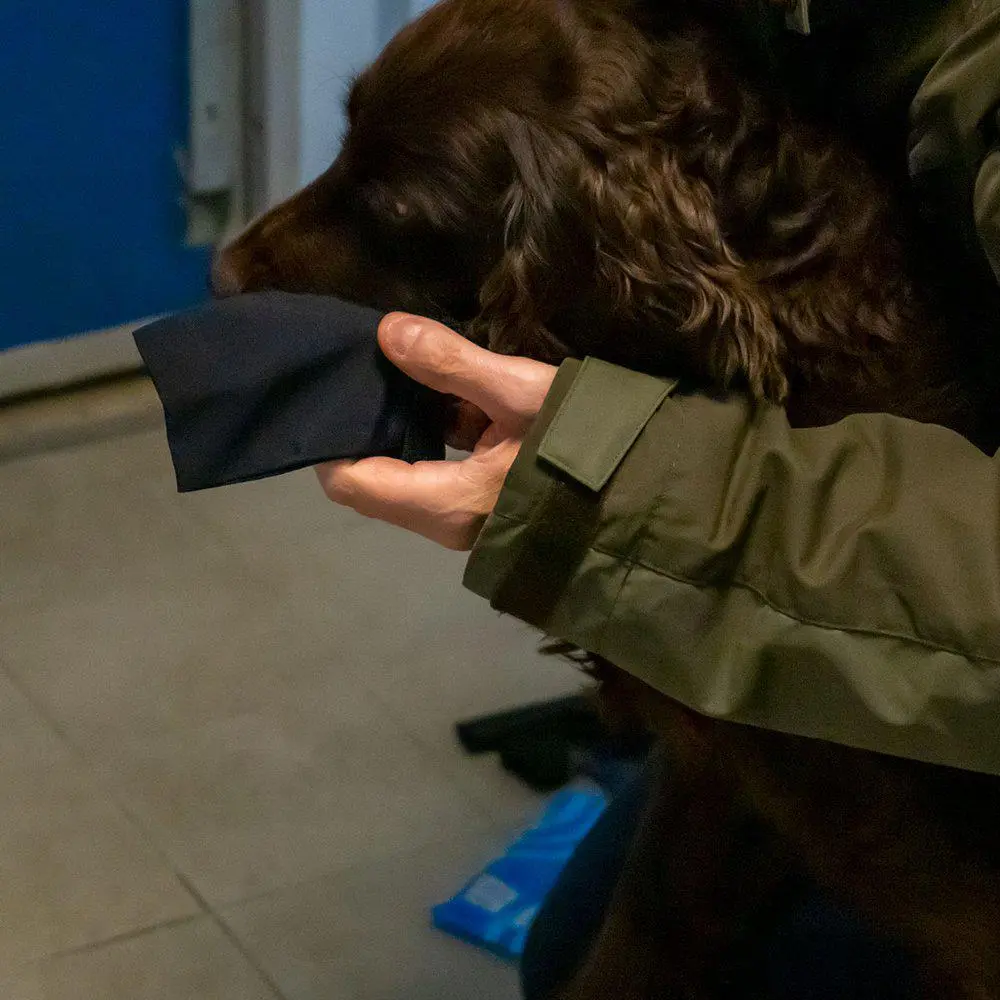 Ozami hundesokker S sort - 4 stk let beskyttelse til poter