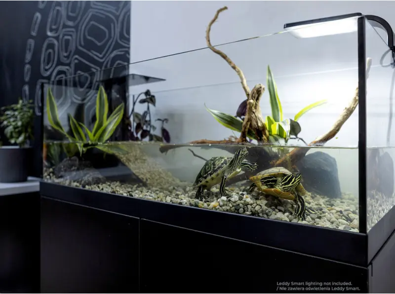 Aqua Terrarium 80x35x30,5 cm til Sumpskildpadder