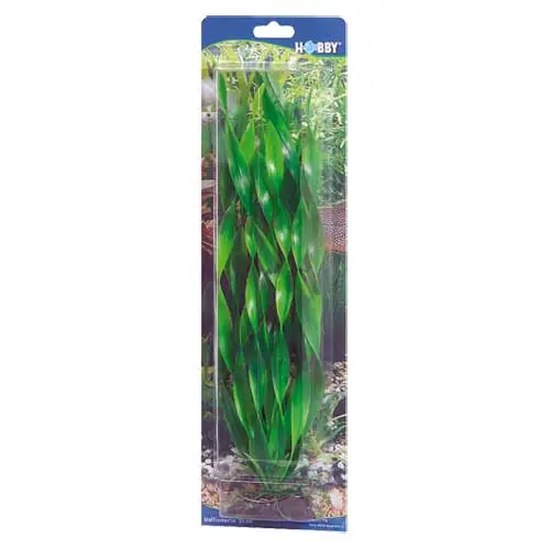 Hobby Vallisneria 20 cm