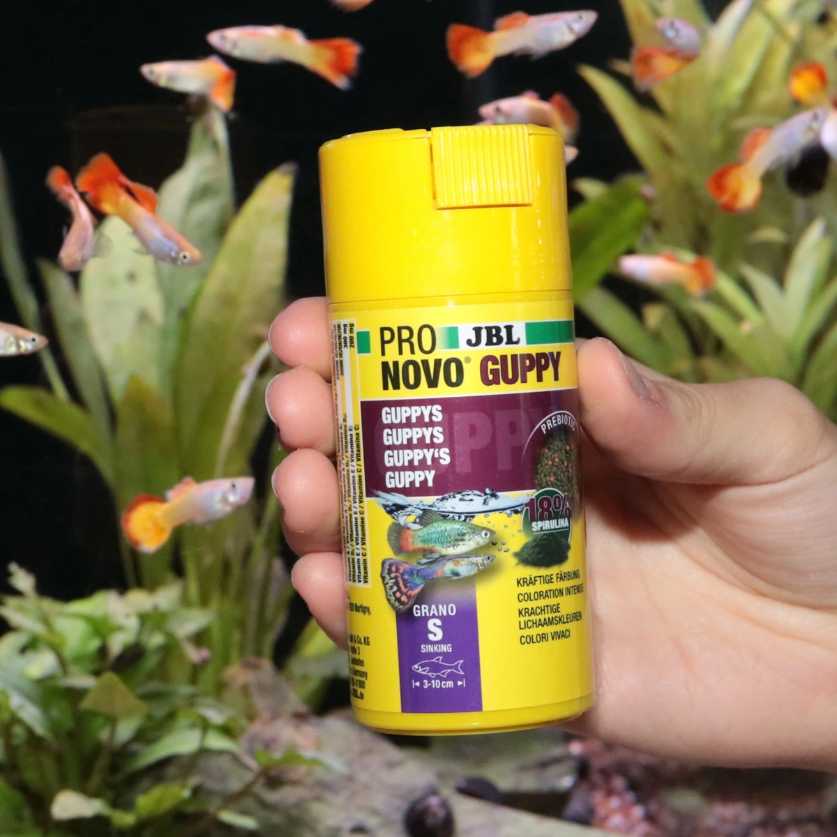 JBL ProNovo Guppy Grano S 250 ml Click