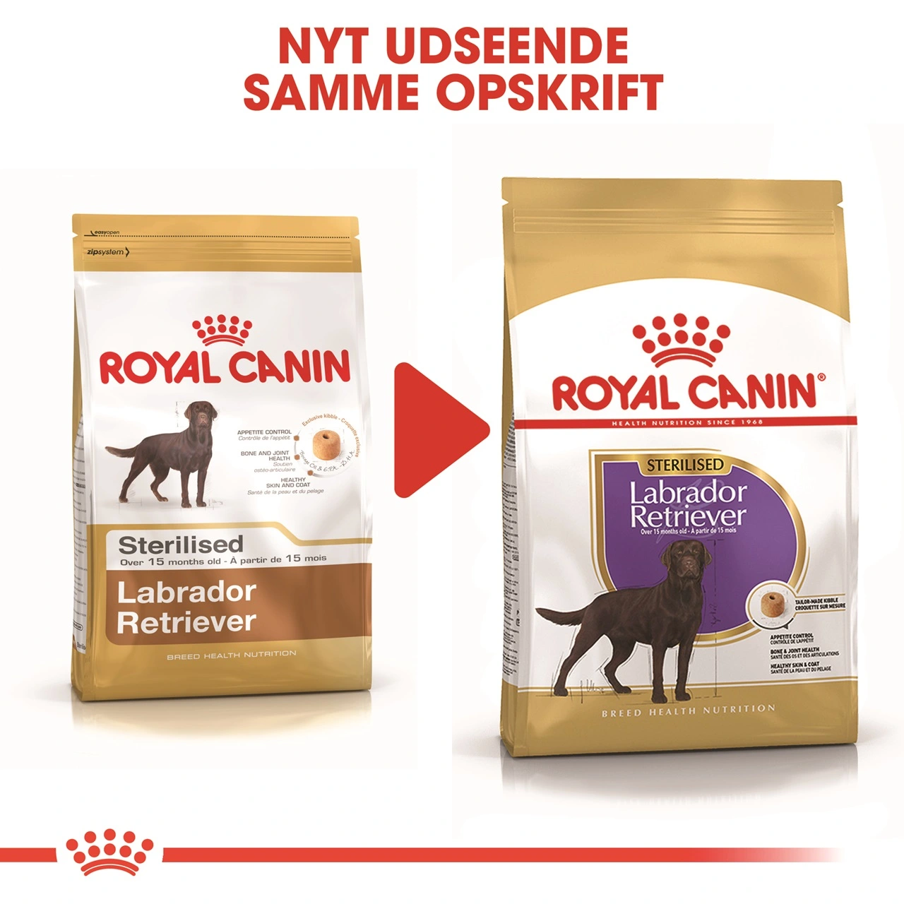 Royal Canin Labrador Retriever Sterilised Adult 12 kg - tørfoder til voksne hunde