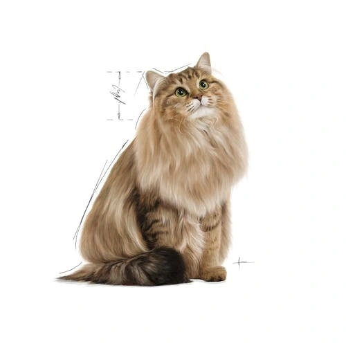 Royal Canin Light Weight Jelly vådfoder 85 g